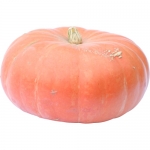 Cinderella Carriage F1